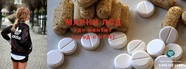 стафф Ельня