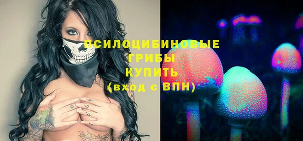 2c-b Абинск
