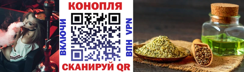 Бошки марихуана гибрид  ОМГ ОМГ ONION  Новотроицк 